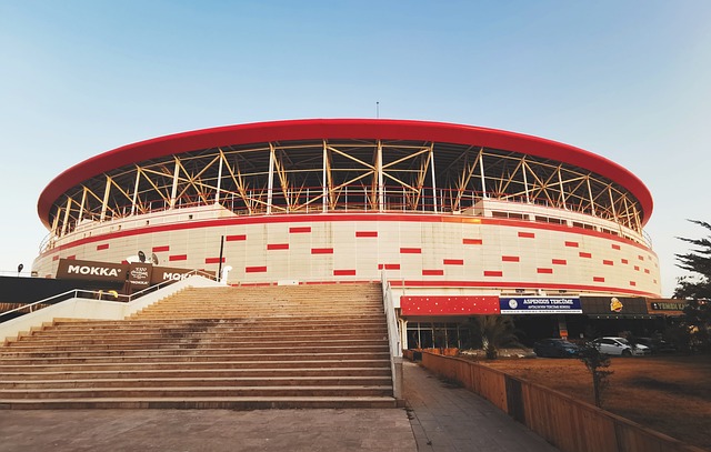 全面性和心 全面性和心