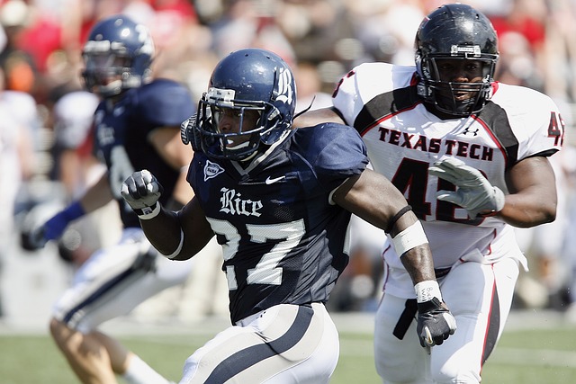 在競技體育 在競技體育