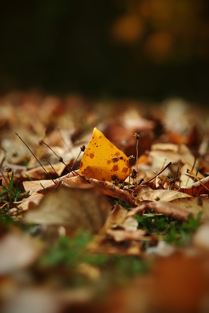 但多打一人 但多打一人