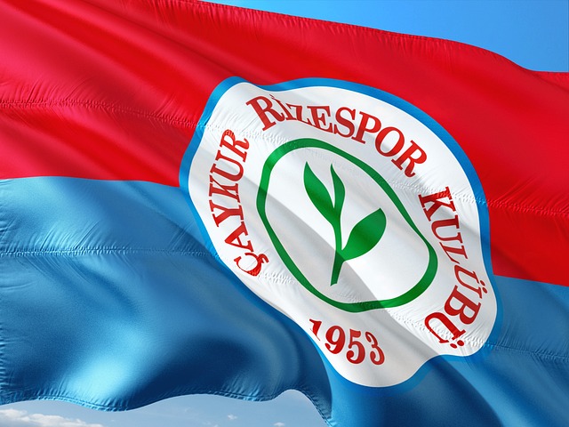 理性签约还 理性签约还